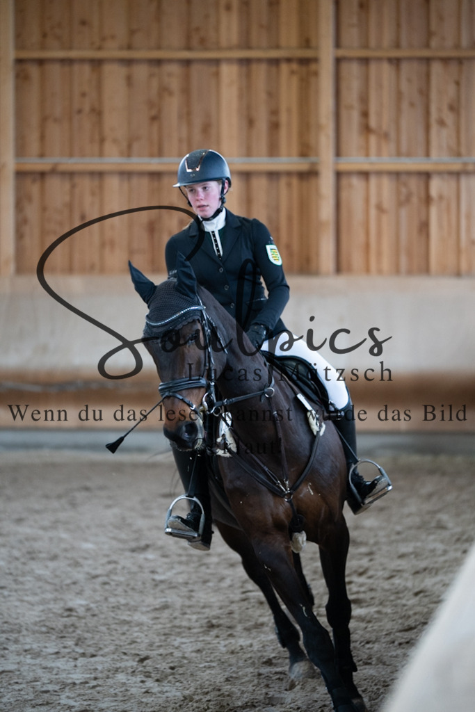 A7V00463 | Pferdefotograf