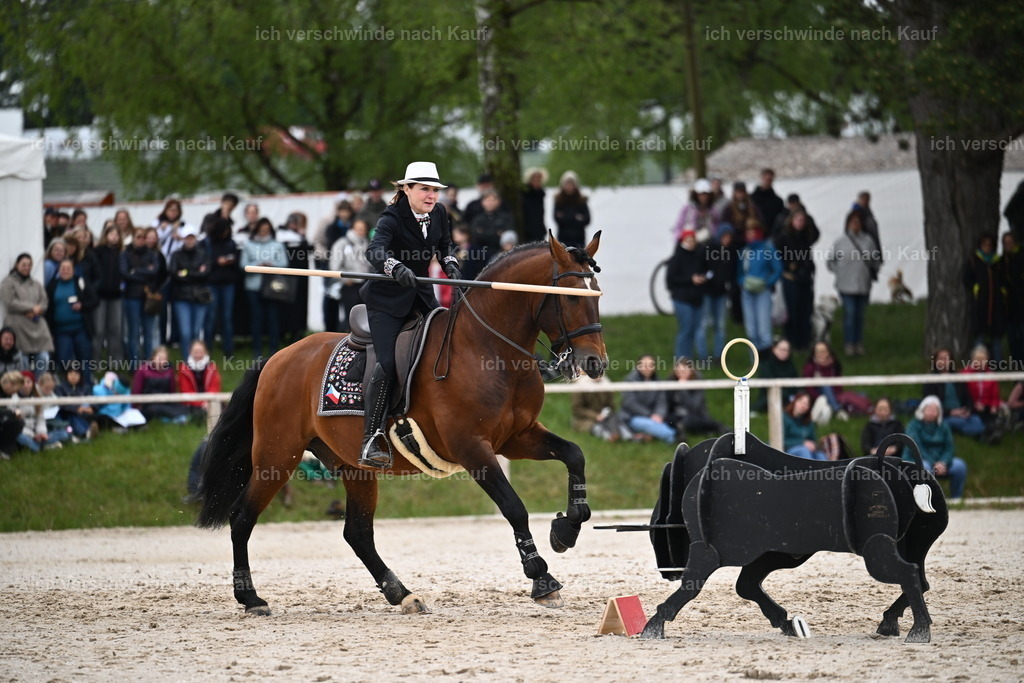 PI26_SP_Sara_Landvogt_226_4923.JPG | working equitationturnier fotograf videograf stoibphotography marixx film working equitation deutschland reitsport turnierfotografie eventfotografie equestrian events