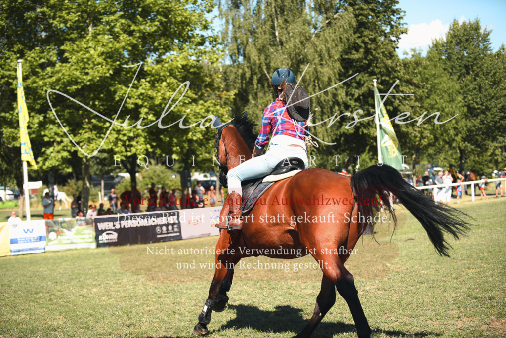 DSC_7731 | Pferde- und Turnierfotografie in Westsachsen. Pferdeportraits, Auftragszeichnungen und intuitive Kunst.