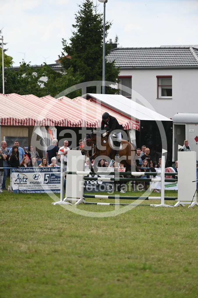 DSC_3283 | sattelsport - Realisiert mit Pictrs.com