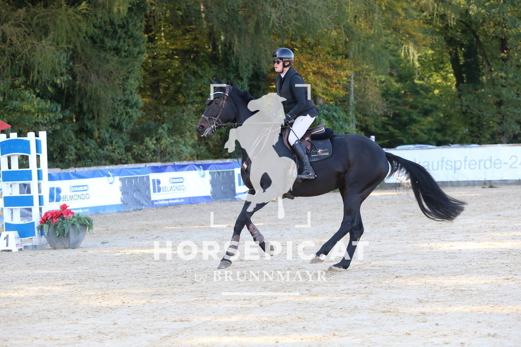 DL2Q5077 | Willkommen bei Brunnmayr - Design & Fotografie – Ihrem Spezialisten für Reitturniere und Pferdeveranstaltungen in Oberösterreich, Salzburg und Bayern! Seit über 17 Jahren sind wir leidenschaftlich dabei.