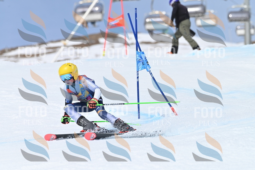 BGV_3944 | holidayphoto