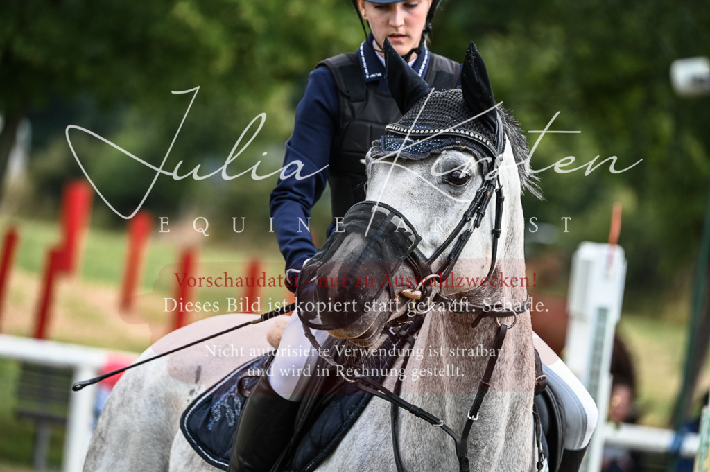 DSC_8136 | Pferde- und Turnierfotografie in Westsachsen. Pferdeportraits, Auftragszeichnungen und intuitive Kunst.