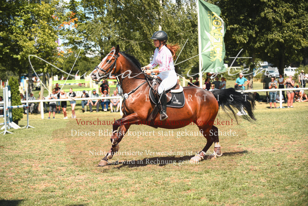 DSC_6564 | Pferde- und Turnierfotografie in Westsachsen. Pferdeportraits, Auftragszeichnungen und intuitive Kunst.