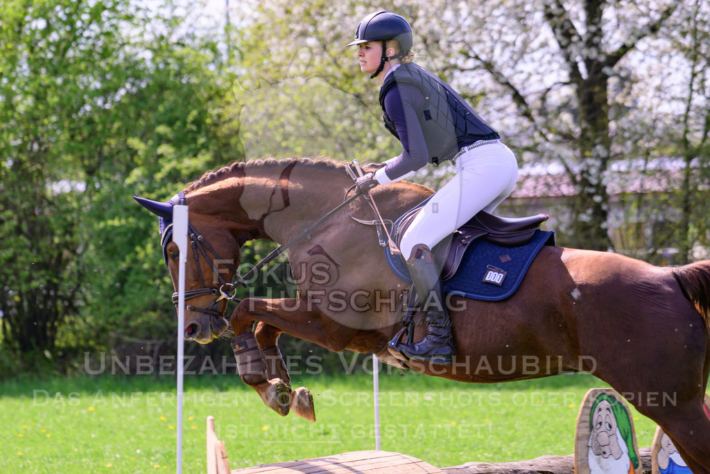 18042026-Gernlinden-01-2-0204 | Fokus Hufschlag Fotografie - Realisiert mit Pictrs.com