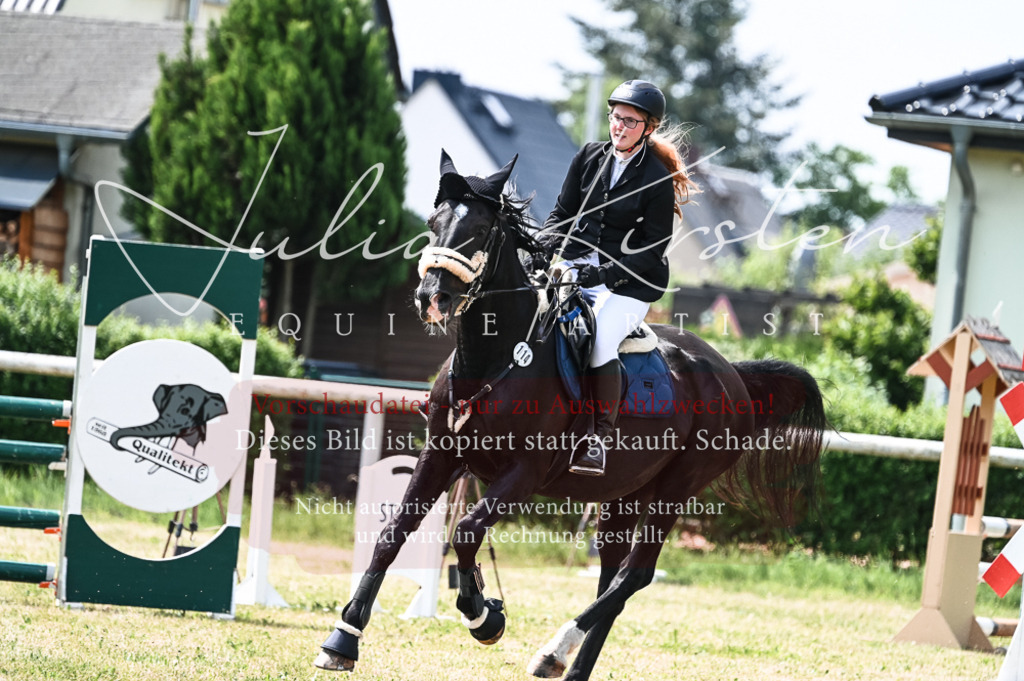 DSC_9127 | Pferde- und Turnierfotografie in Westsachsen. Pferdeportraits, Auftragszeichnungen und intuitive Kunst.