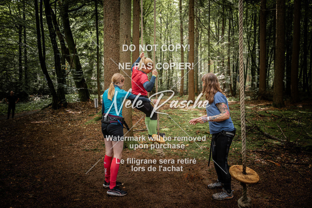 nelerasche_SoWingst1130-1230_09 | nelerasche