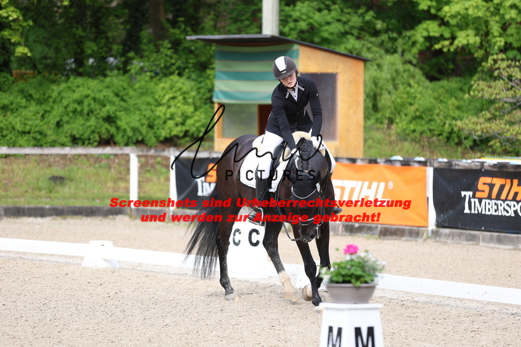 A40A0334 | lmwpictures - Realisiert mit Pictrs.com