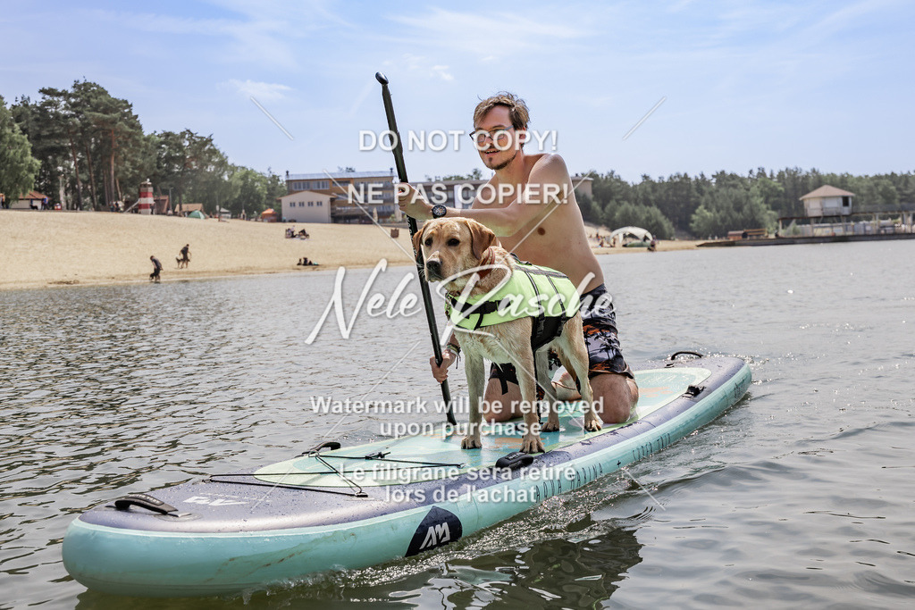 BUHU_SUP_596 | nelerasche