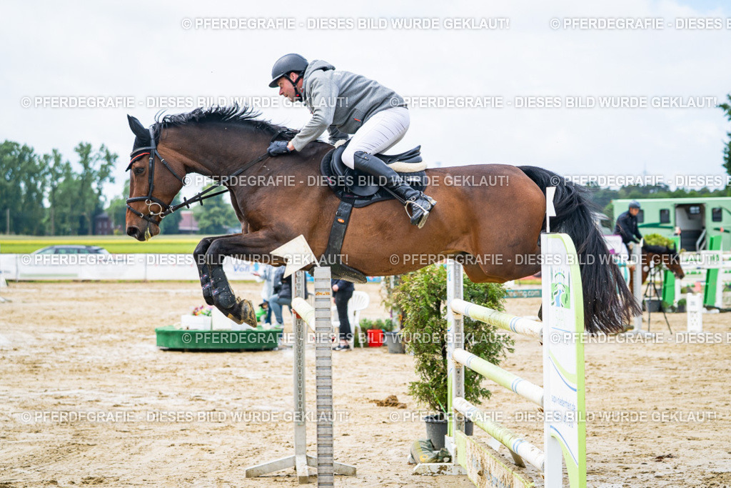 DSC03866 | Pferdegrafie