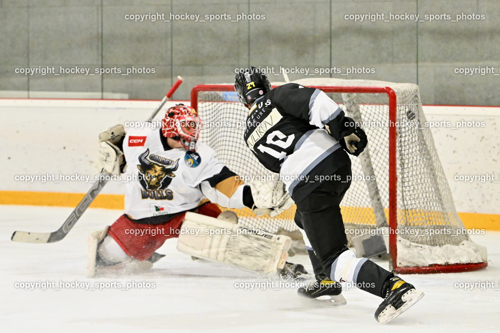 Kuss & Kuss Kings vs. Golden Bulls | #72 Kavic Jan Golden Bulls, #10 Daniil Kulikov Kuss & Kuss Kings, Kuss & Kuss Kings vs. Golden Bulls, Kuss & Kuss Kings vs. Golden Bulls am 30.05.2025 in Ferlach (HTC Eishalle Ferlach), Austria, (Photo by Bernd Stefan)