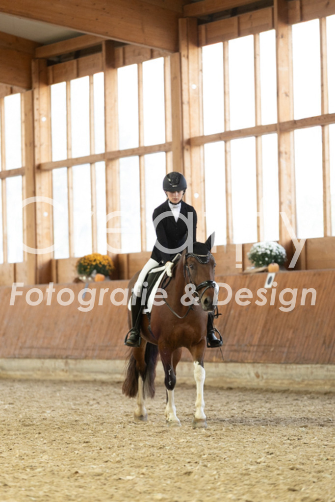 IMG_6147 | Creatify Fotografie