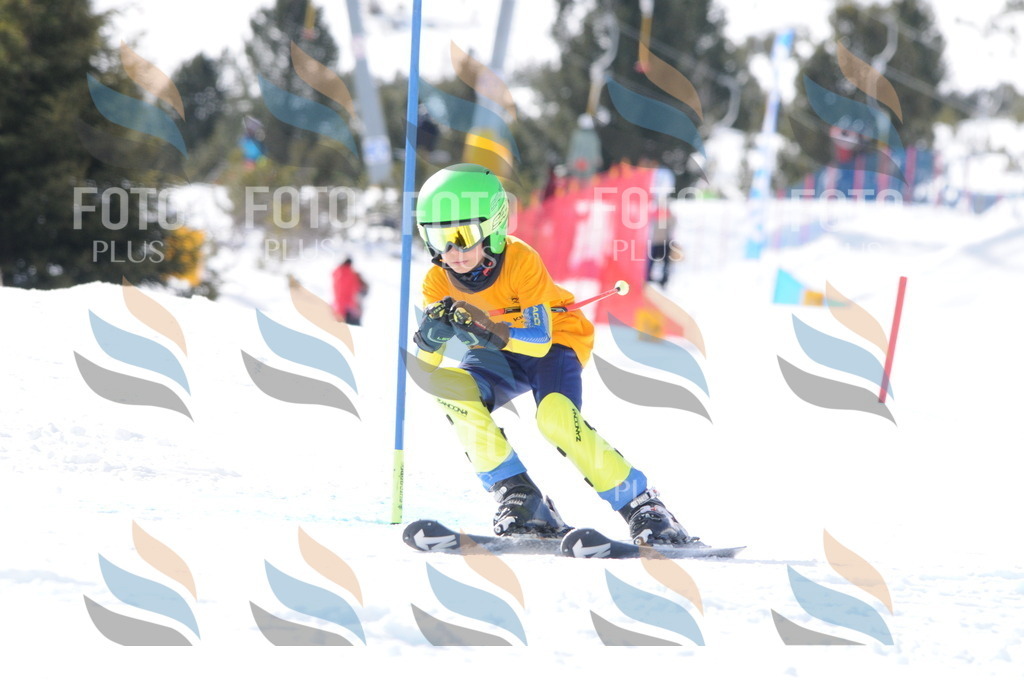 C7444 | holidayphoto