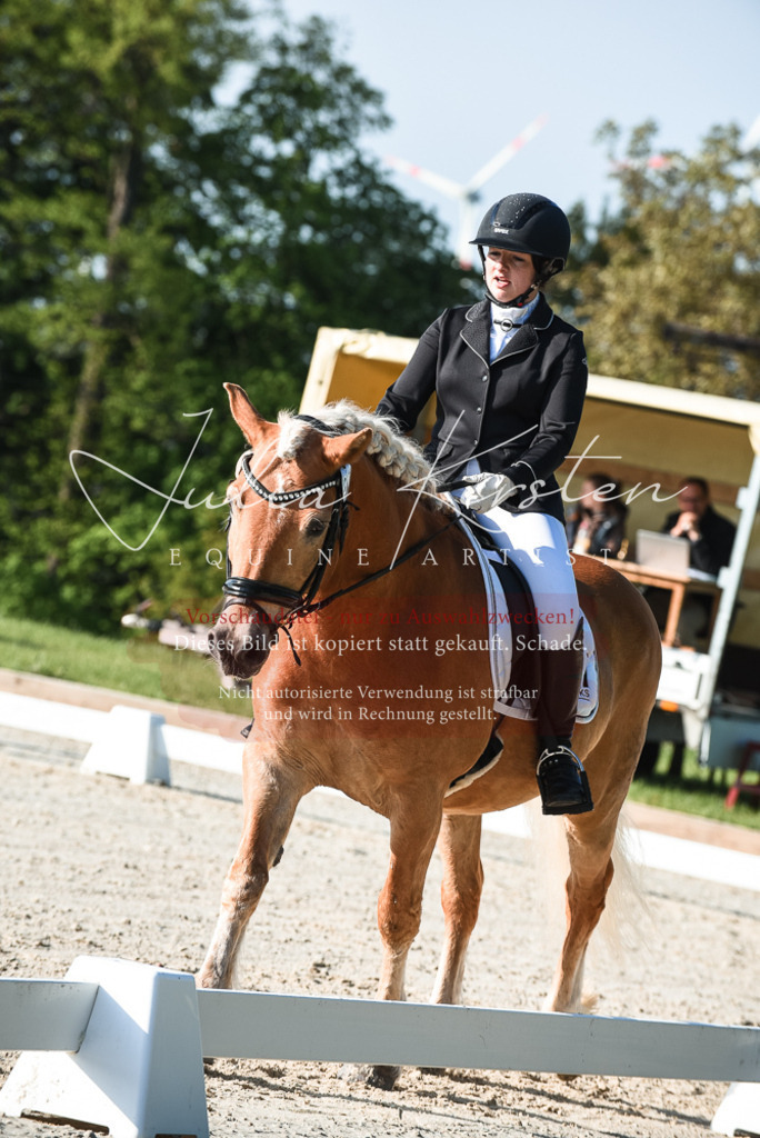 20230518_JK-Röhrsdorf-09-0359 | Pferde- und Turnierfotografie in Westsachsen. Pferdeportraits, Auftragszeichnungen und intuitive Kunst.