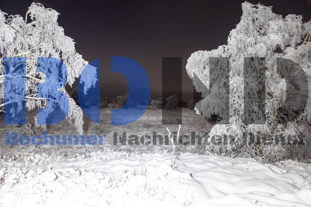 Hohes Venn bei Nacht im Schnee {date} -  | {headline}



(Foto: Sebastian Sendlak / BOND)

 - Realisiert mit Pictrs.com