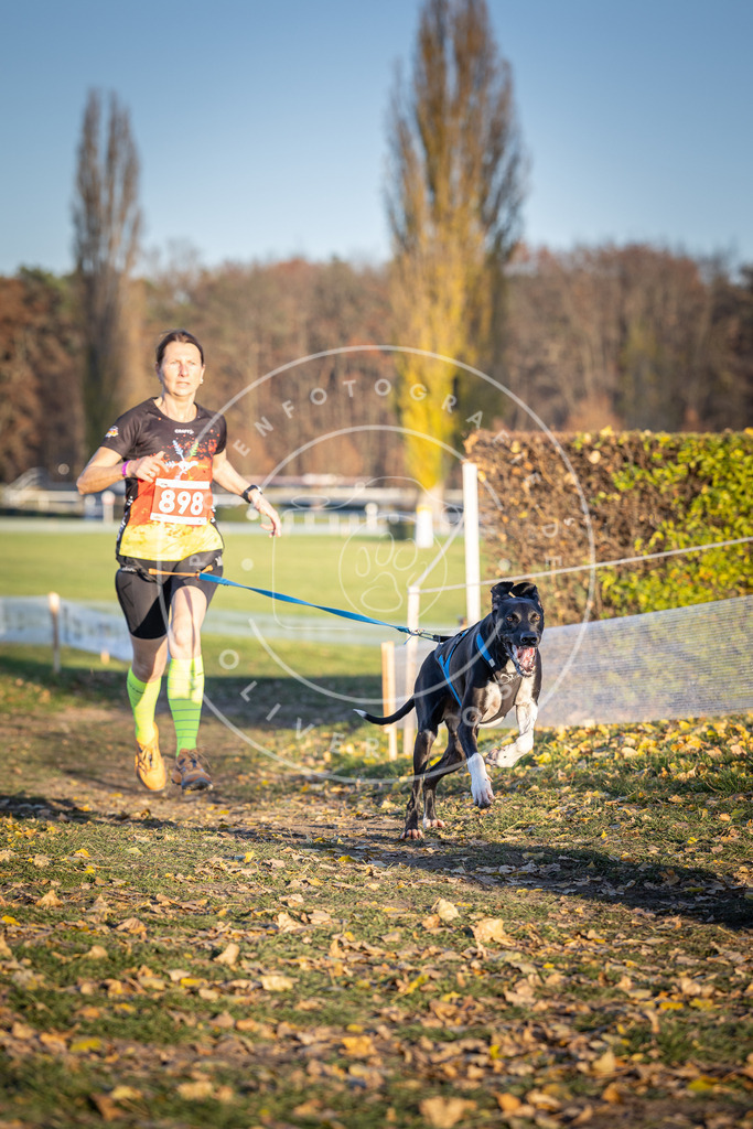 CaniXpix_DV3A4545 | Hundefotografie, Tierfotograf, Pfotenfotografie, Fotoshooting Hund, Hunde Portrait, Hundesport, Hundeportraits, Heideshooting, Hunde, Sportfotograf, Hundefotograf, Turnierhundsport, THS,  - Realisiert mit Pictrs.com