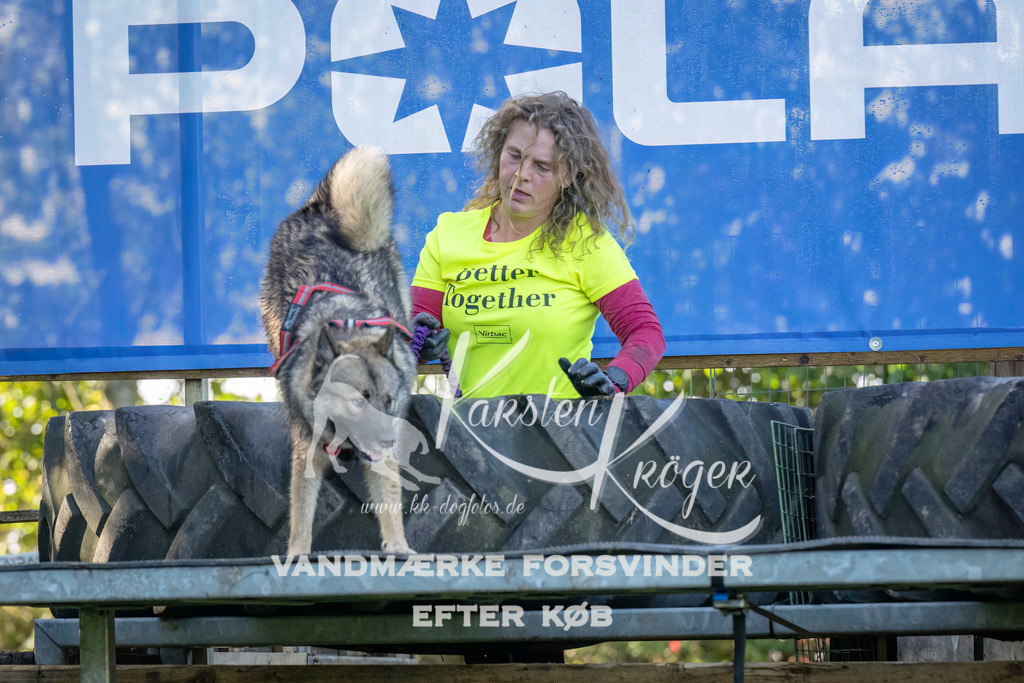 1044--3 | kk-dogfotos