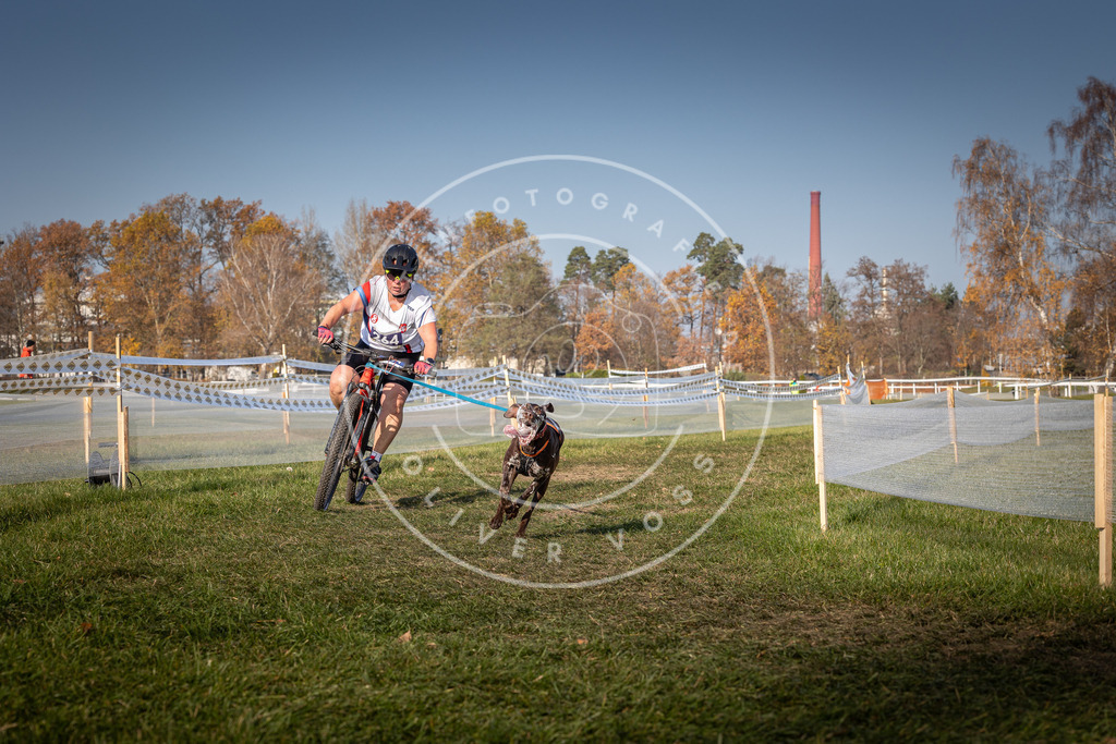 CaniXpix_0L8A7111 | Hundefotografie, Tierfotograf, Pfotenfotografie, Fotoshooting Hund, Hunde Portrait, Hundesport, Hundeportraits, Heideshooting, Hunde, Sportfotograf, Hundefotograf, Turnierhundsport, THS,  - Realisiert mit Pictrs.com