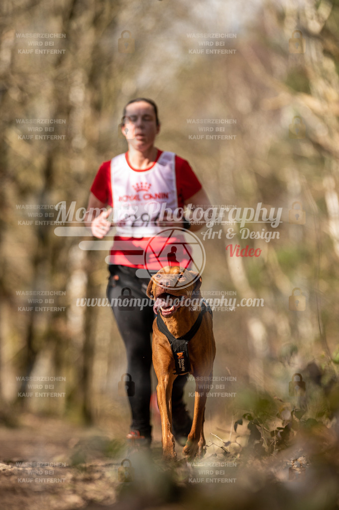 SPA_2023_SAM_CCK-117 | PayLife
