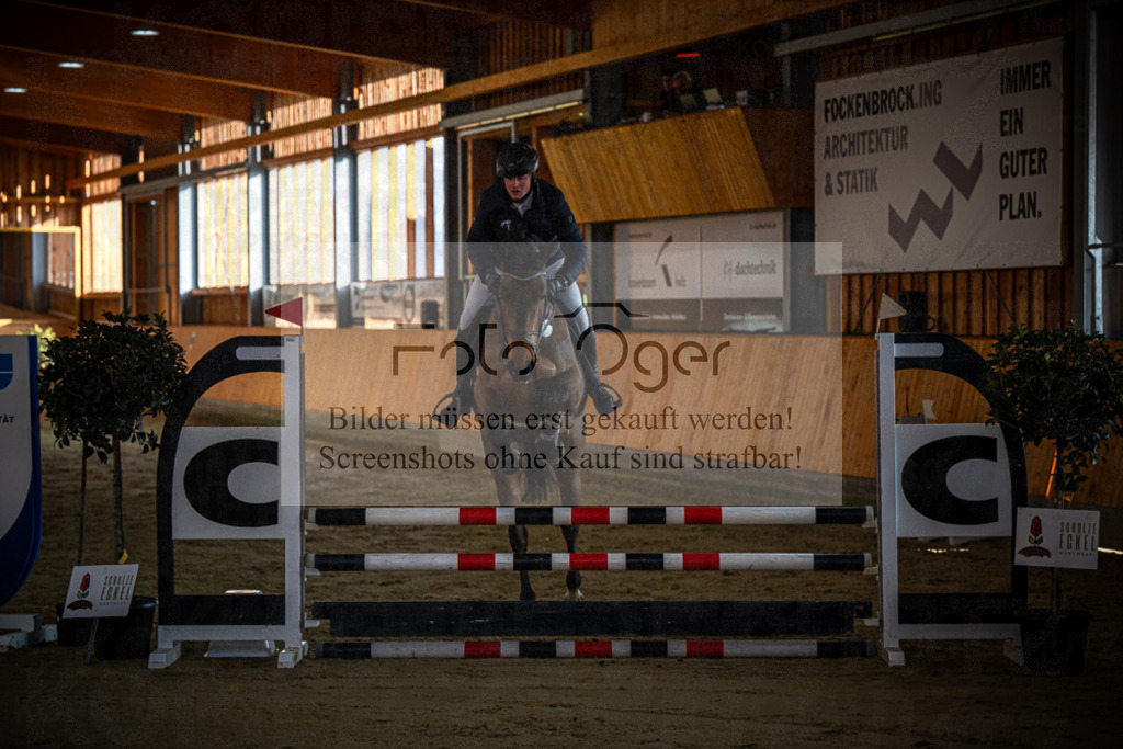 DOS_0284 | Entdecke hochwertige Reitturnierfotos von Foto Oger. Professionell, emotional und authentisch – jetzt Lieblingsmomente im Shop bestellen.Deutschlandweite Turnierfotografie. - Realisiert mit Pictrs.com