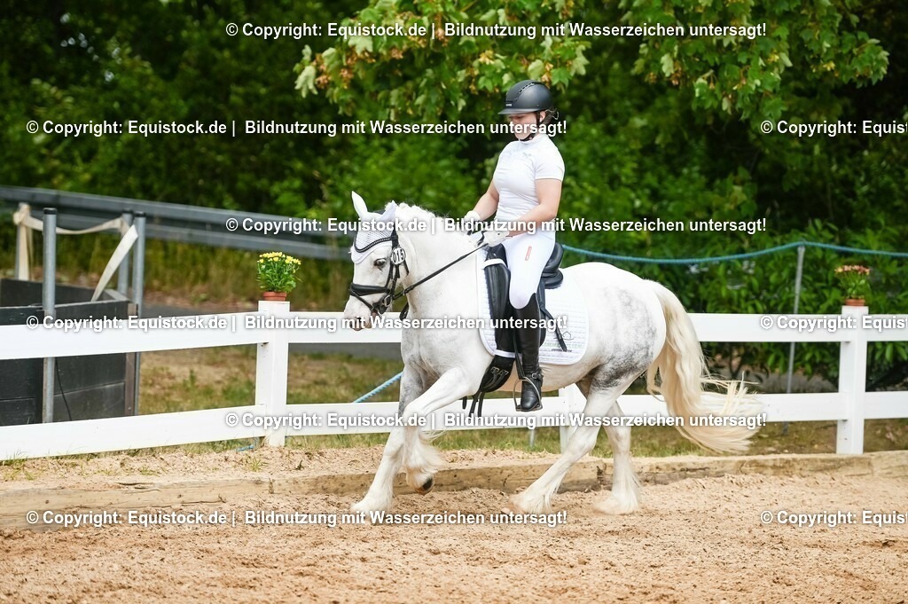 20230715_05_Dressurprüfung Kl.A++_0276 | equistock
