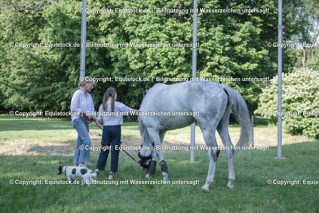 ZFC_4140 | equistock