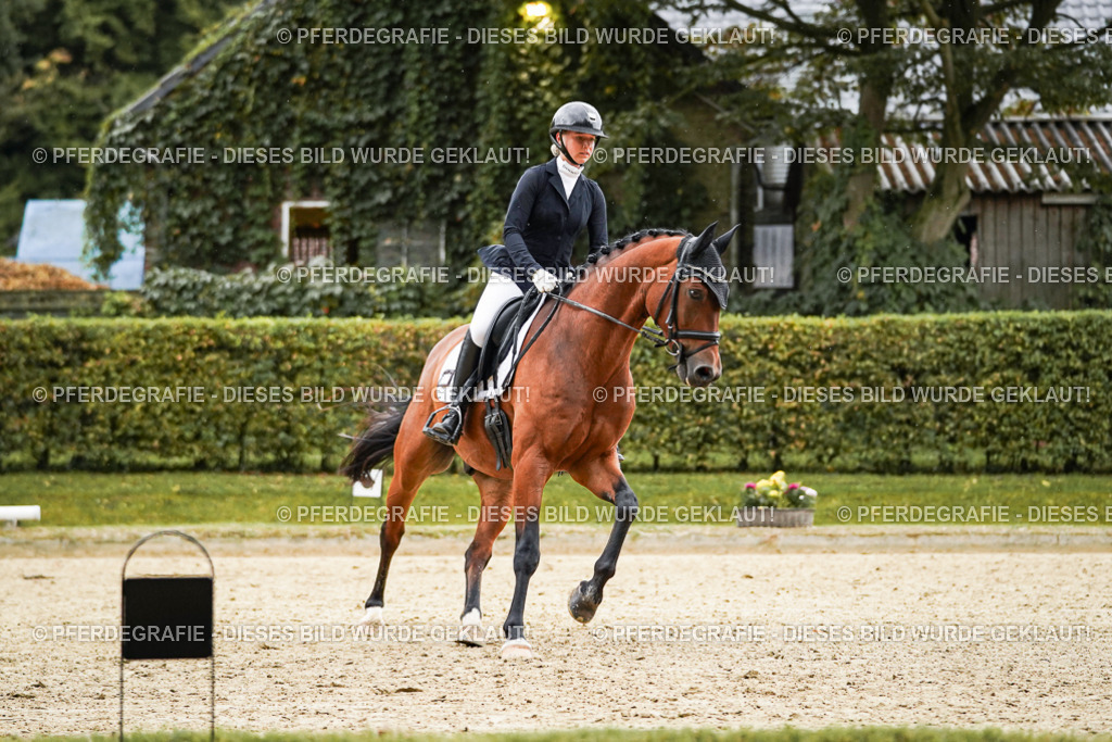 DSC07351 | Pferdegrafie