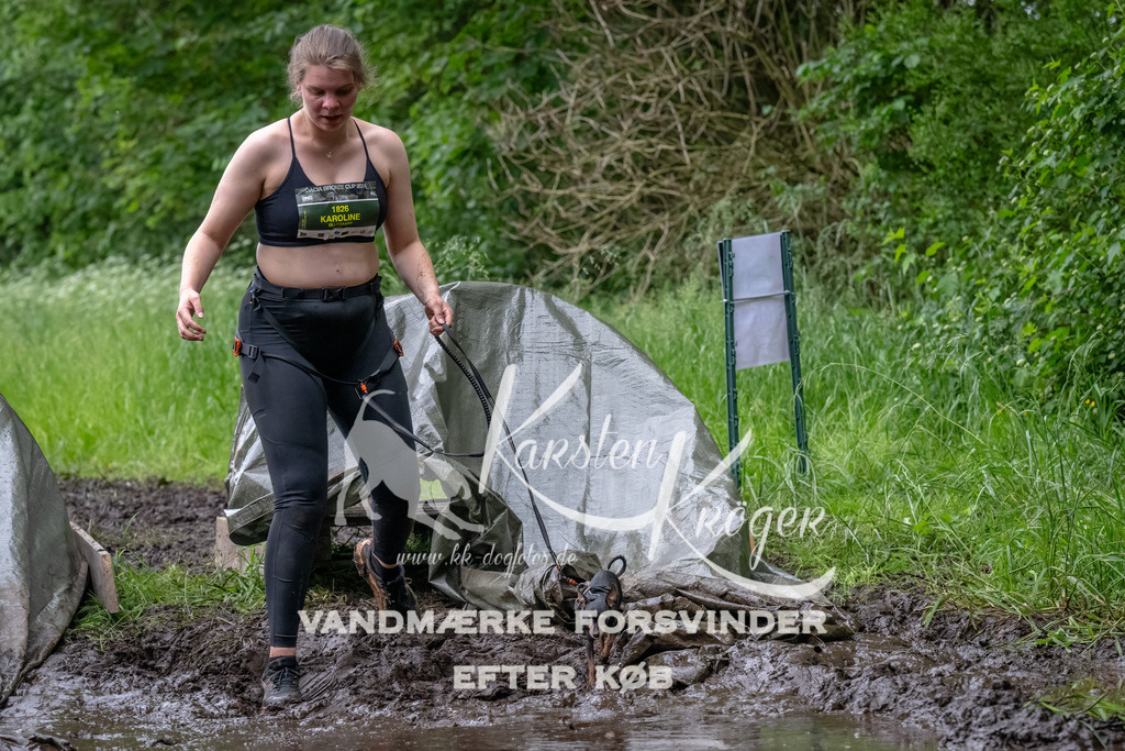 1606_ZZ92293-Bearbeitet | kk-dogfotos