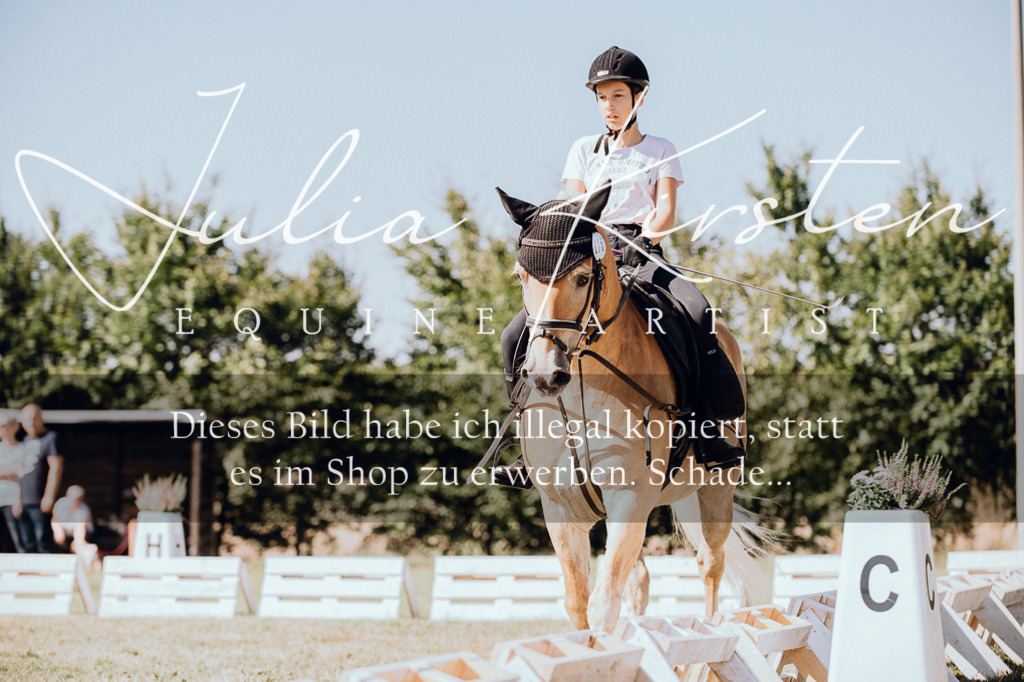DSC_7292 | Pferde- und Turnierfotografie in Westsachsen. Pferdeportraits, Auftragszeichnungen und intuitive Kunst.