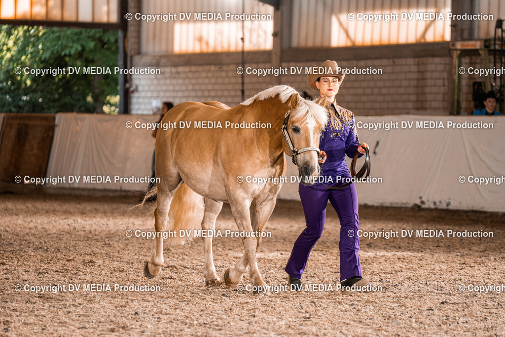 ZH100168 | dv-media-shop - Realisiert mit Pictrs.com