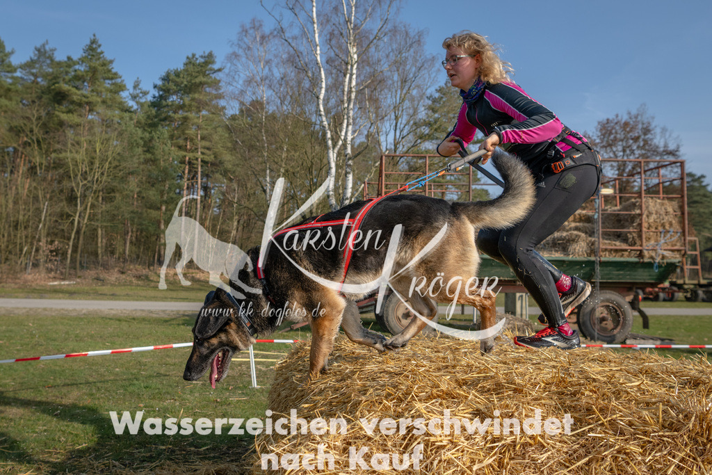 _ZZ92905 | kk-dogfotos