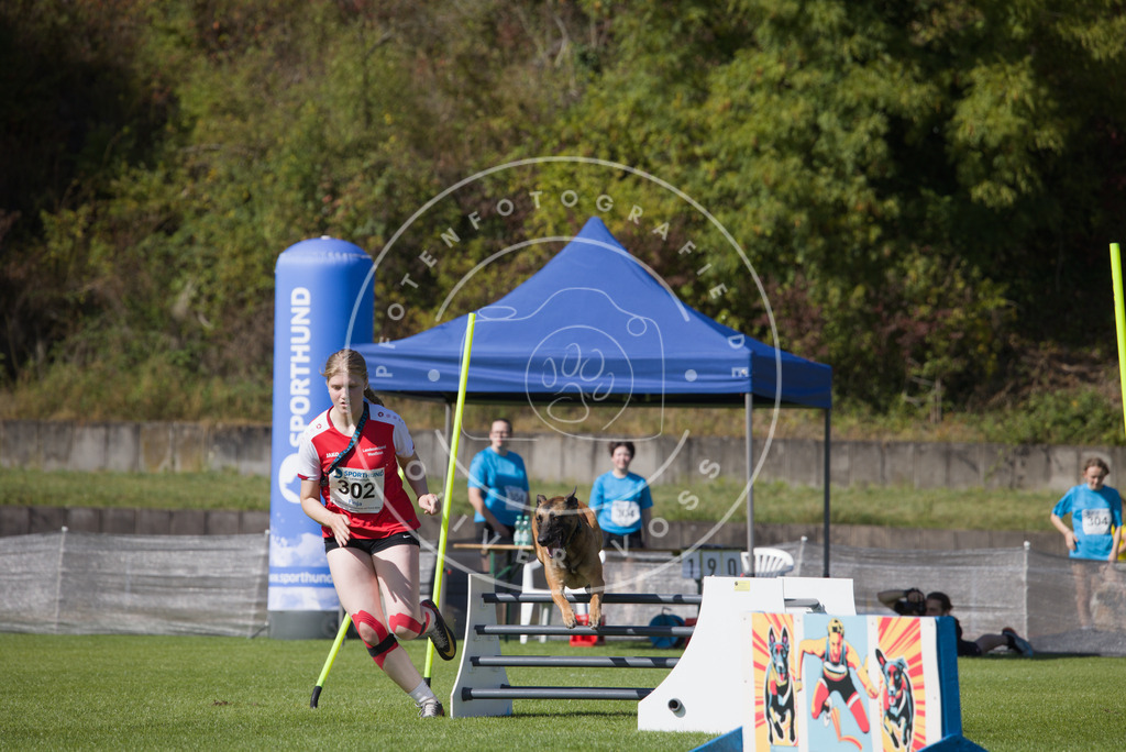 0L8A7555 | Hundefotografie, Tierfotograf, Pfotenfotografie, Fotoshooting Hund, Hunde Portrait, Hundesport, Hundeportraits, Heideshooting, Hunde, Sportfotograf, Hundefotograf, Turnierhundsport, THS,  - Realisiert mit Pictrs.com