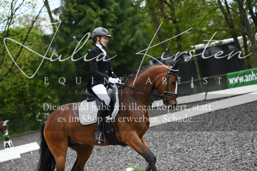 20230512_JK-Röhrsdorf-07-302 | Pferde- und Turnierfotografie in Westsachsen. Pferdeportraits, Auftragszeichnungen und intuitive Kunst.