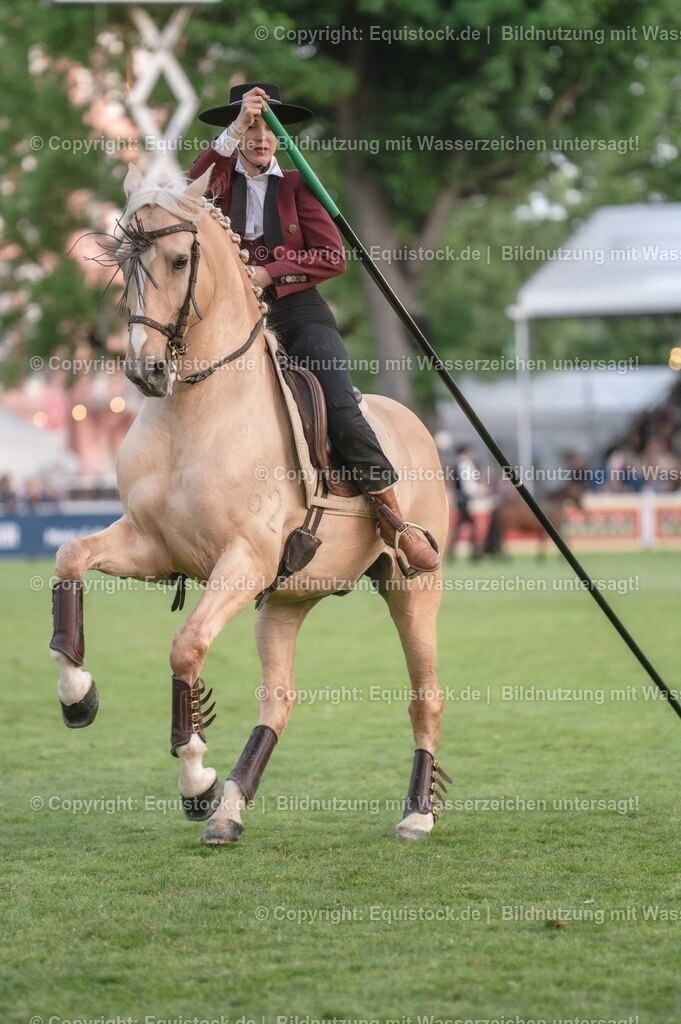 20230526_Pferdenacht_0718 | equistock