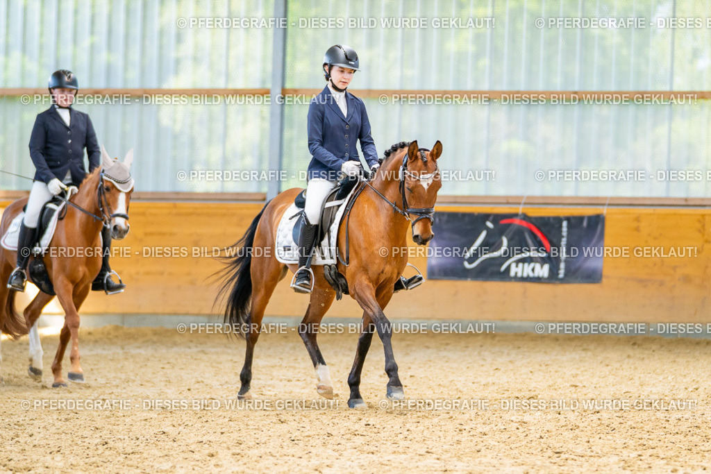 DSC08700 | Pferdegrafie