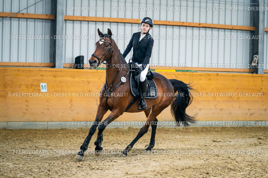 DSC00611 | Pferdegrafie