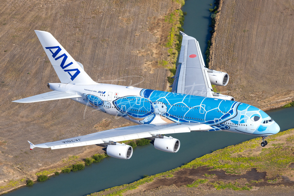 ANA Airbus A380 Flying Honu | Honolulu Airport - Realisiert mit Pictrs.com