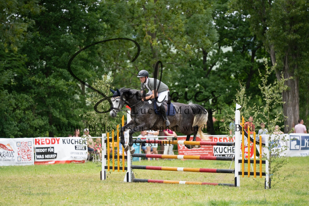 A7V07157 | Pferdefotograf