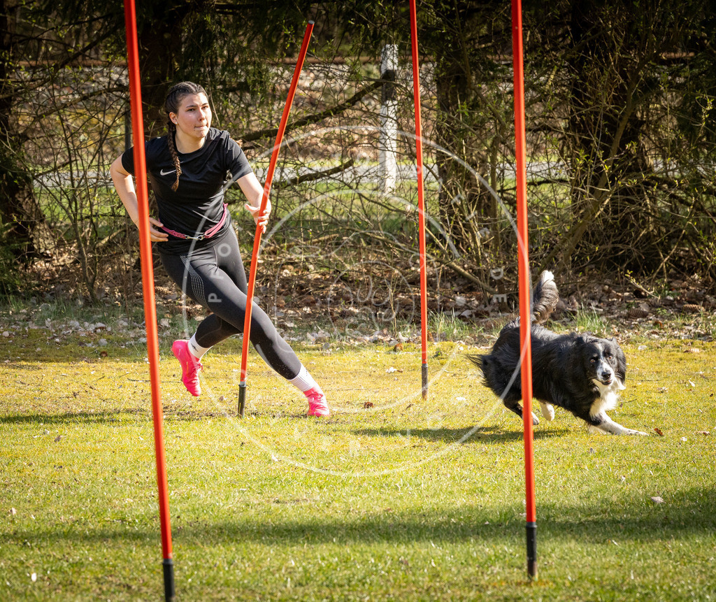 Pfotenfotografie_DV3A2510 | Hundefotografie, Tierfotograf, Pfotenfotografie, Fotoshooting Hund, Hunde Portrait, Hundesport, Hundeportraits, Heideshooting, Hunde, Sportfotograf, Hundefotograf, Turnierhundsport, THS,  - Realisiert mit Pictrs.com