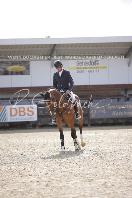 1J2A2981Andreas Erni_ Caloubet 6_ Kn092_ Havekost | Foto- und Videografie für alles rund ums Pferd. Hochwertige Bilder und Videos vom Spring- und Dressurreiten, Voltigieren & mehr. Jetzt aktuelle Veranstaltungen und Preise im Shop ansehen. - Realisiert mit Pictrs.com