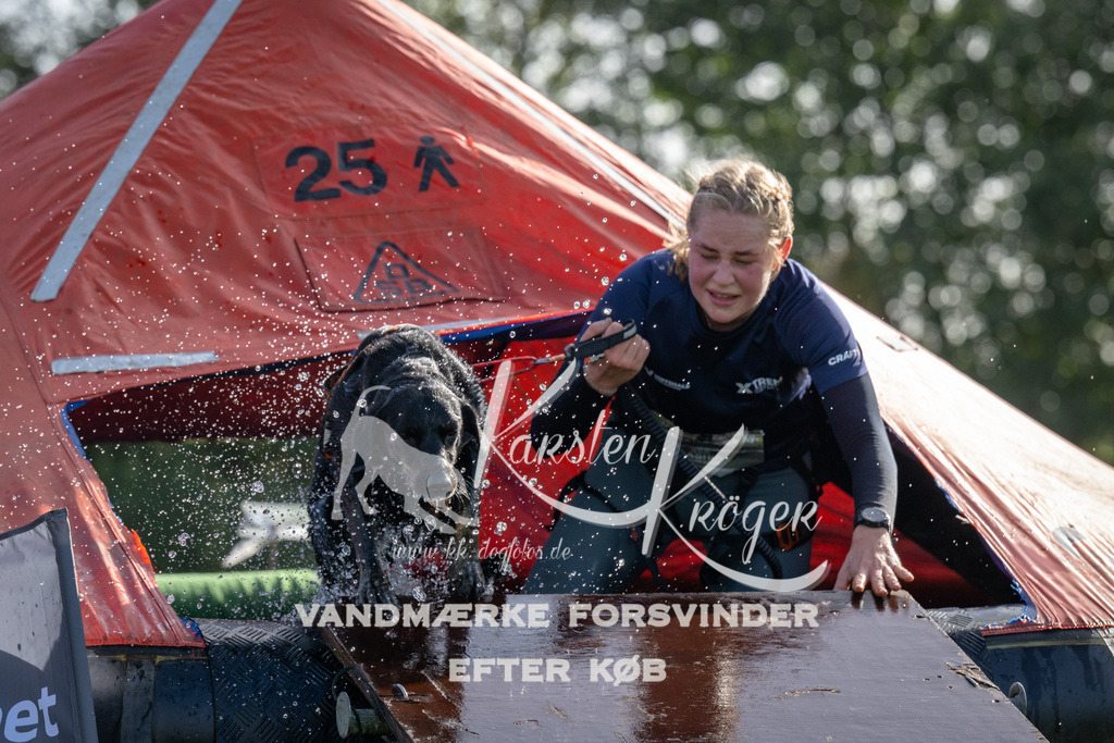 1149-92296 | kk-dogfotos