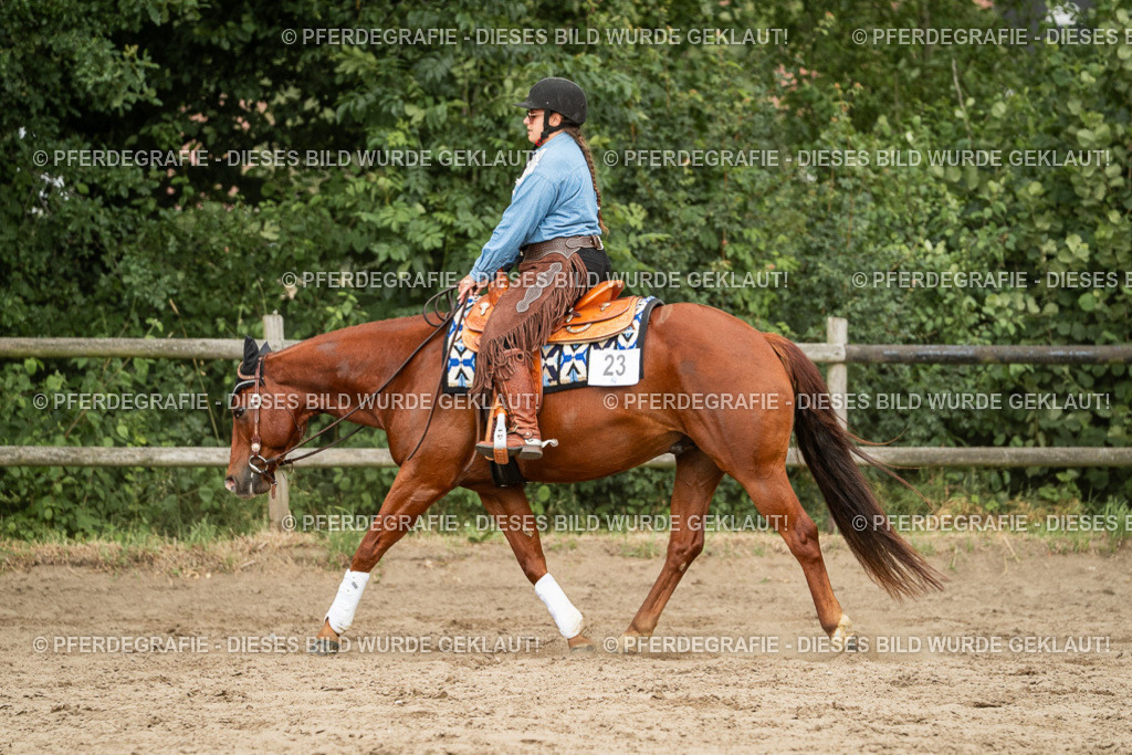 DSC03264 | Pferdegrafie