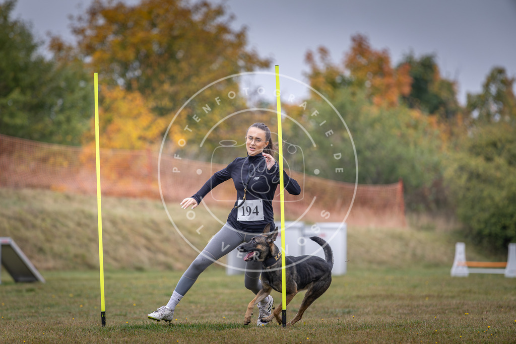 Pfotenfotografie_DV3A0969 | Hundefotografie, Tierfotograf, Pfotenfotografie, Fotoshooting Hund, Hunde Portrait, Hundesport, Hundeportraits, Heideshooting, Hunde, Sportfotograf, Hundefotograf, Turnierhundsport, THS,  - Realisiert mit Pictrs.com