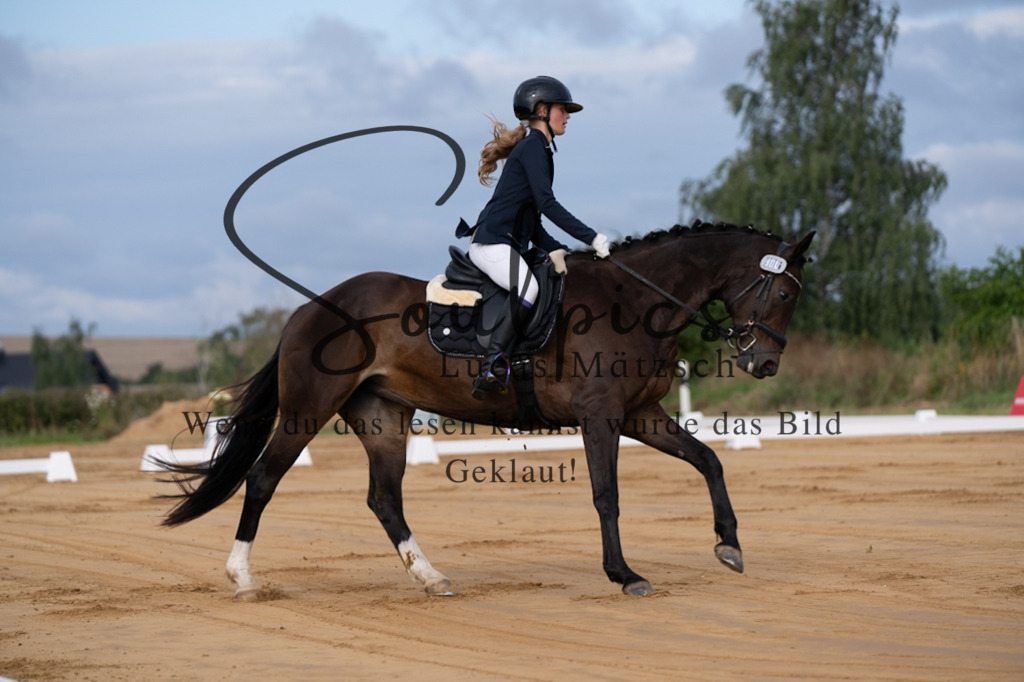 A7V05082 | Pferdefotograf