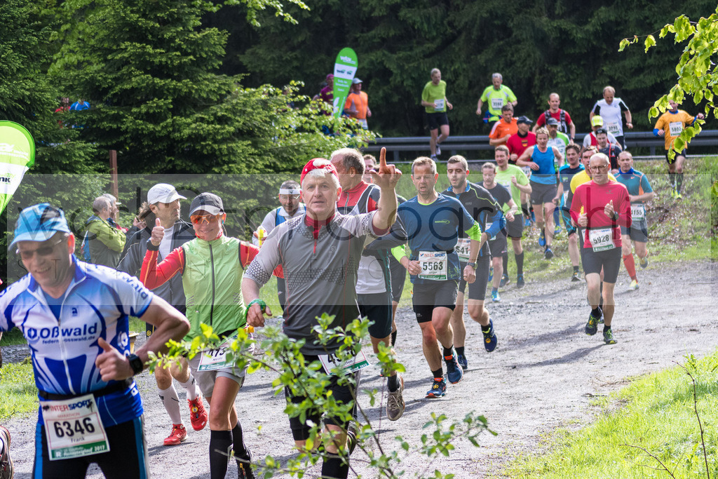 Rennsteiglauf 2017 | Neuhaus/Rwg. - Schmiedefeld am 19. Mai 2017