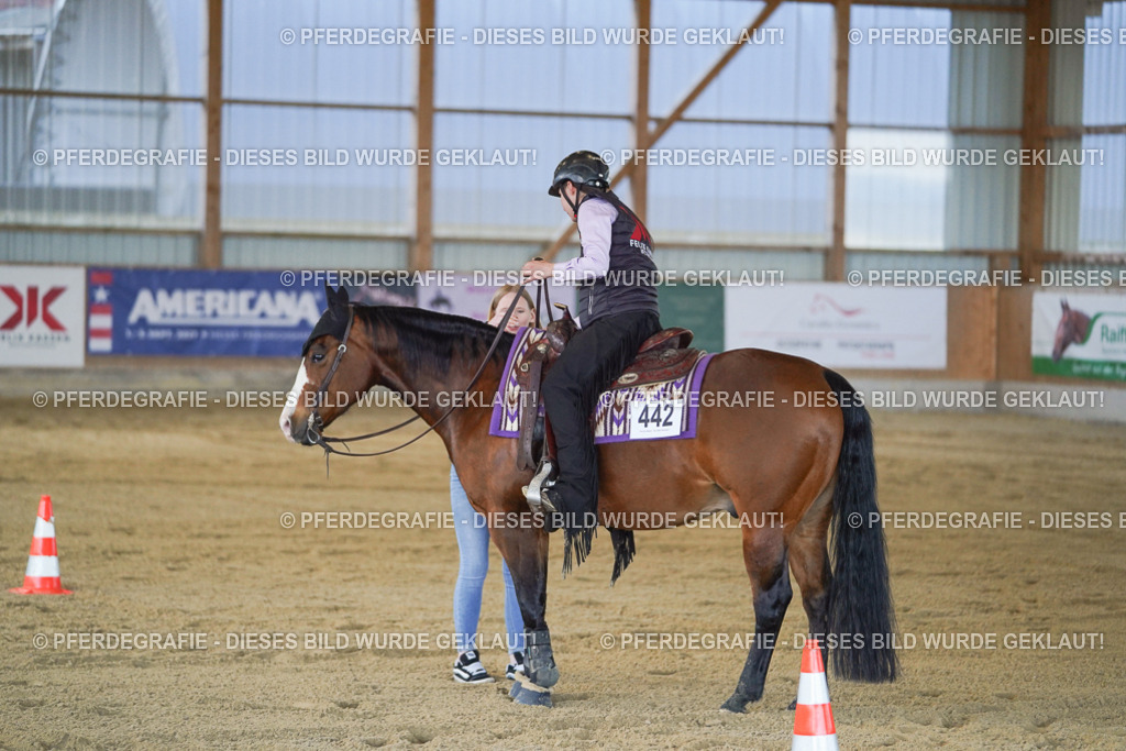 DSC01504 | Pferdegrafie