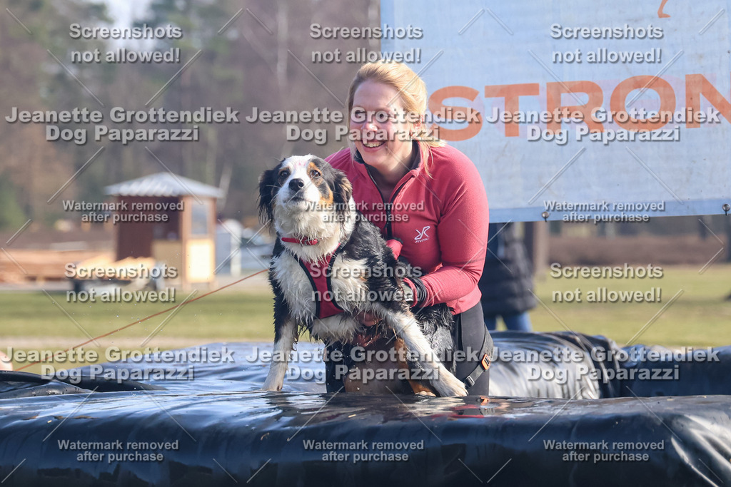 Dog Paparazzi - Strongdog North Mrz26-1001 | Dog Paparazzi Jeanette Grottendiek Fotografie & Videografie - Realisiert mit Pictrs.com