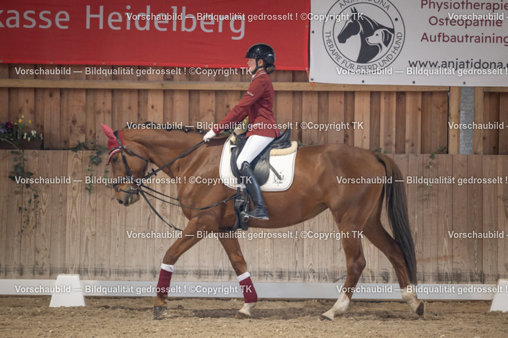 _D5A5490 | Emotionale Pferde- & People-Fotografie rund um Heidelberg, Leimen & Umgebung. Natürliche Fotos von Pferd, Mensch & Familie. Jetzt Termin sichern!