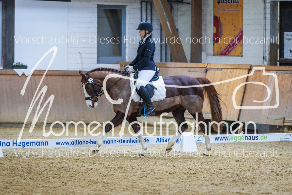 Sth-WBO25-EDr-093 | MomenTaufnahmen Pferdesportfotos