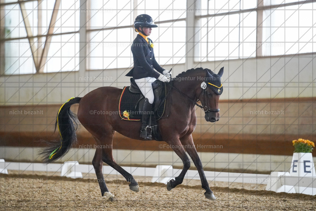 20240825-FAH09261 | Turnierbilder, Reitsportfotos, LAPO, Landesponyturnier, Turnierfotografen Bayern